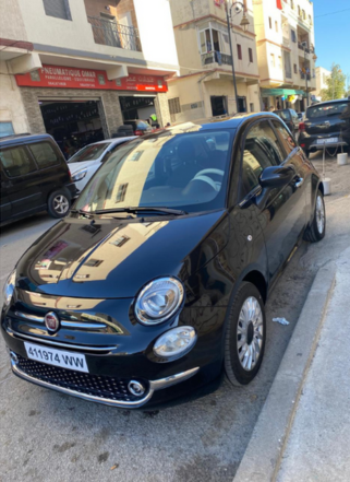 Olina Car
